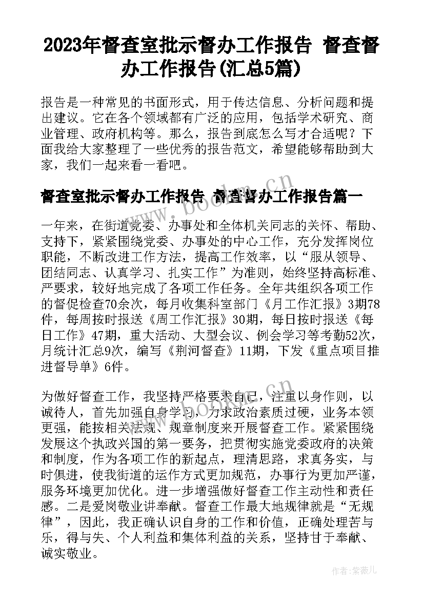 2023年督查室批示督办工作报告 督查督办工作报告(汇总5篇)