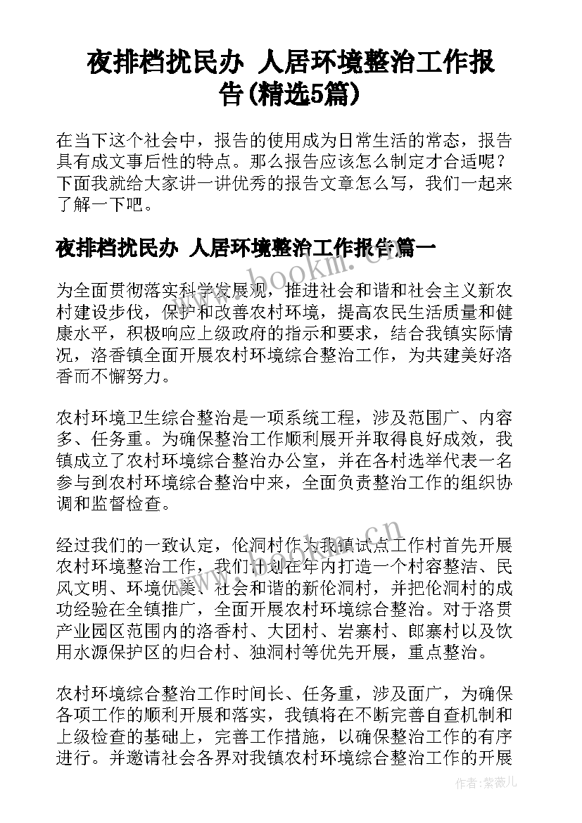 夜排档扰民办 人居环境整治工作报告(精选5篇)