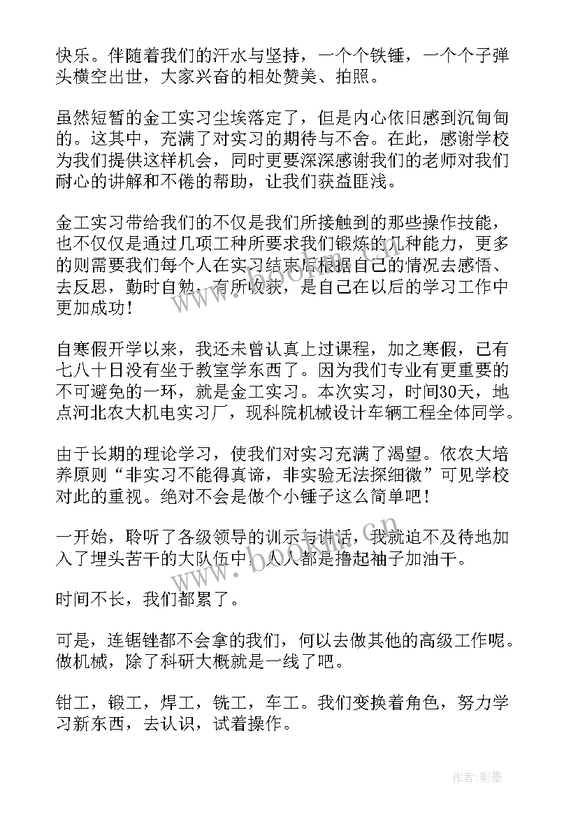 2023年专业实践报告心得体会 政府工作报告心得体会及个人感悟(通用5篇)