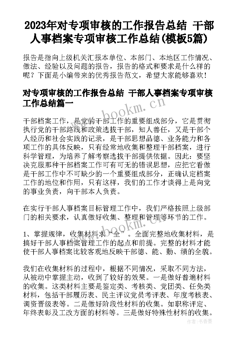 2023年对专项审核的工作报告总结 干部人事档案专项审核工作总结(模板5篇)