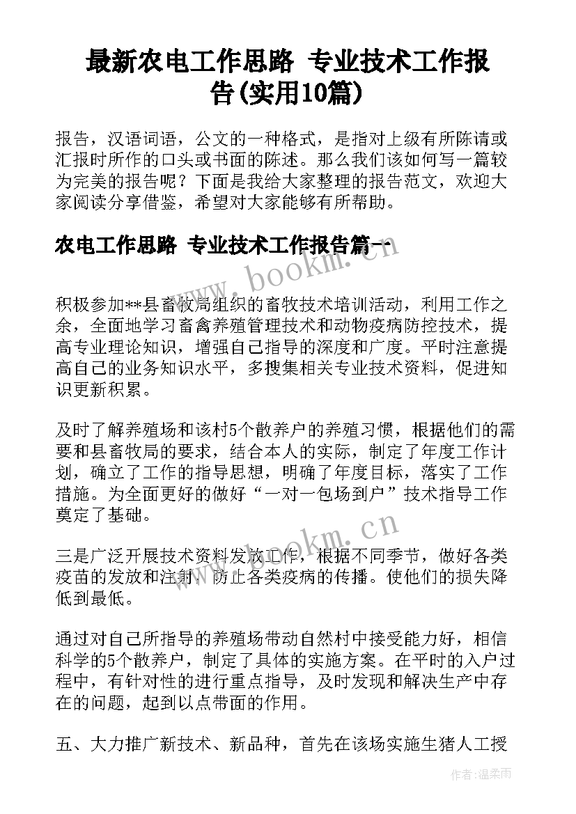 最新农电工作思路 专业技术工作报告(实用10篇)