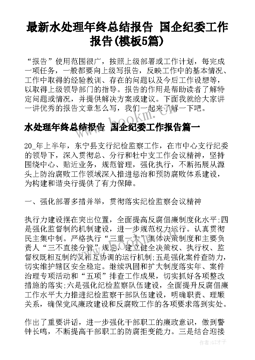 最新水处理年终总结报告 国企纪委工作报告(模板5篇)