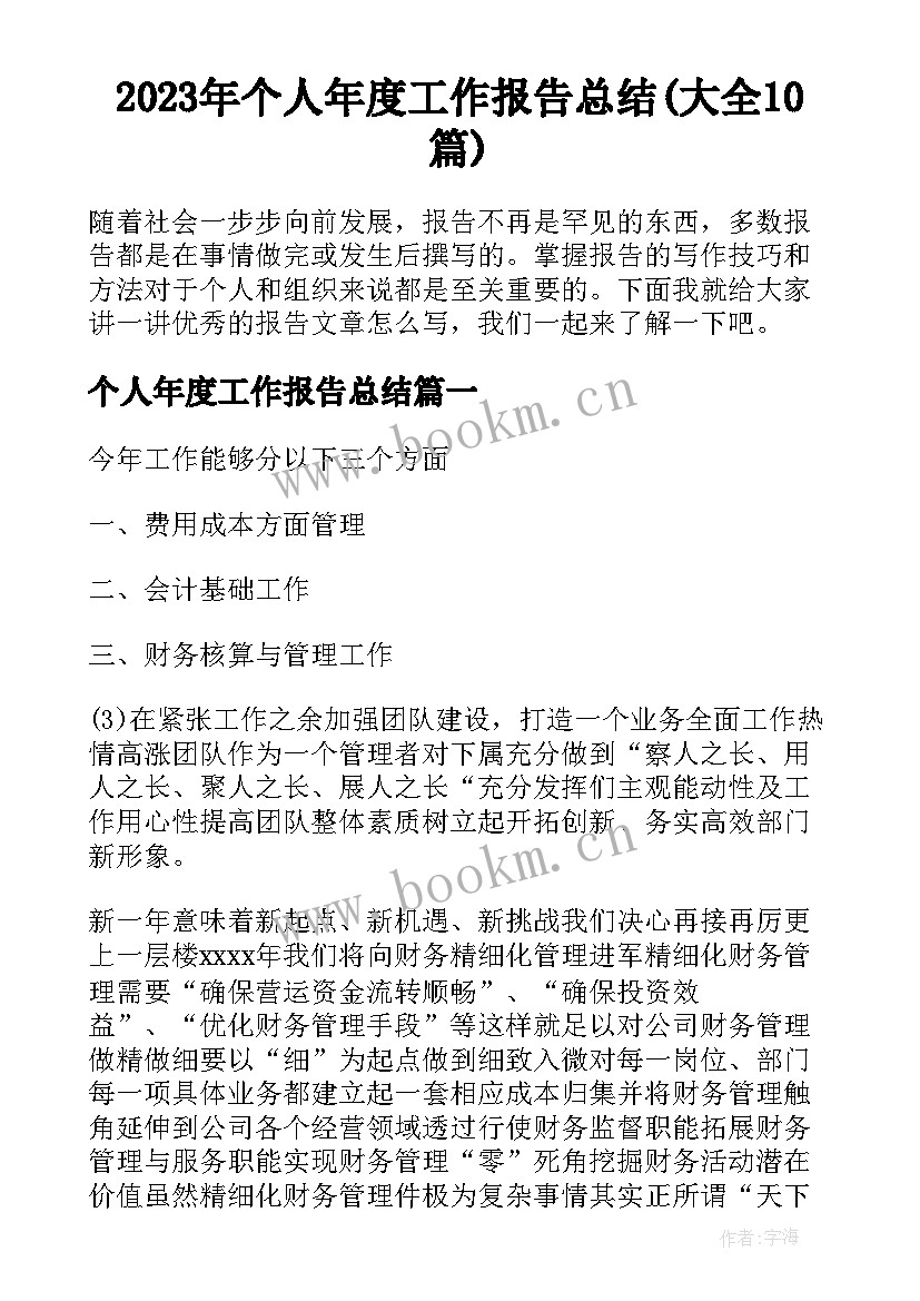 2023年个人年度工作报告总结(大全10篇)