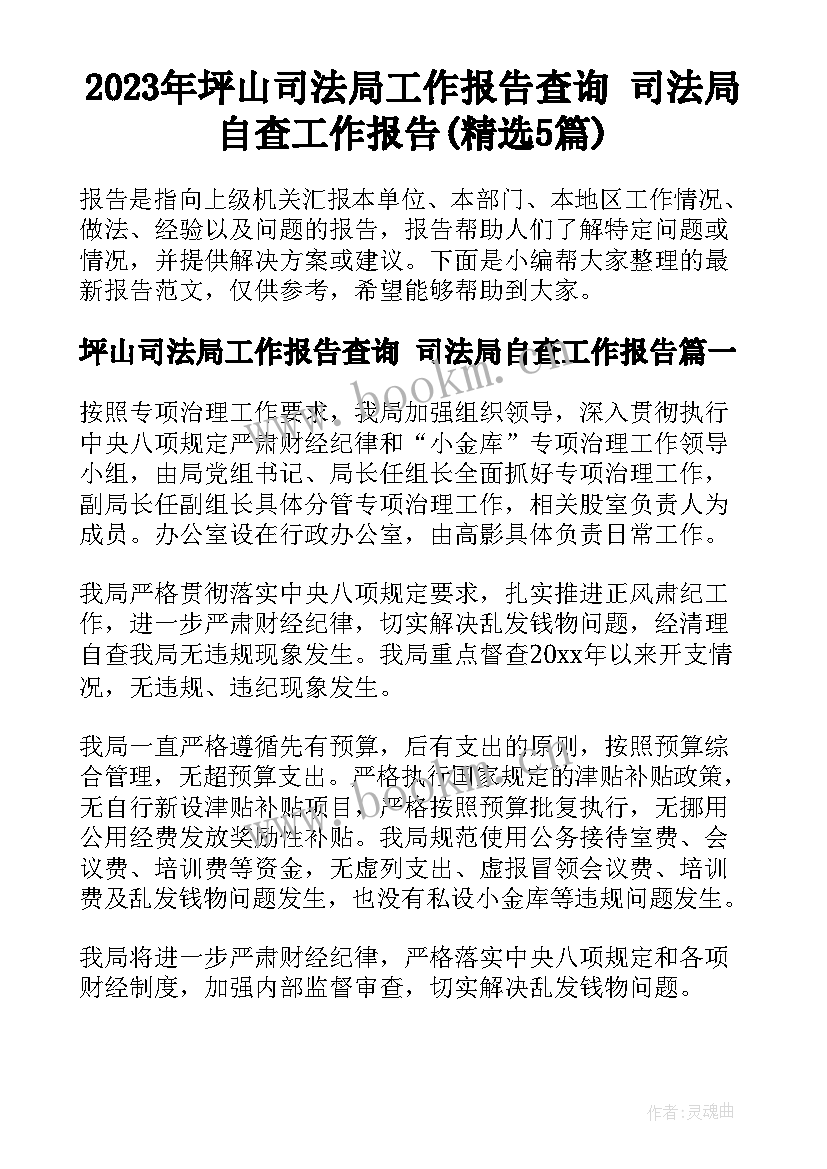 2023年坪山司法局工作报告查询 司法局自查工作报告(精选5篇)