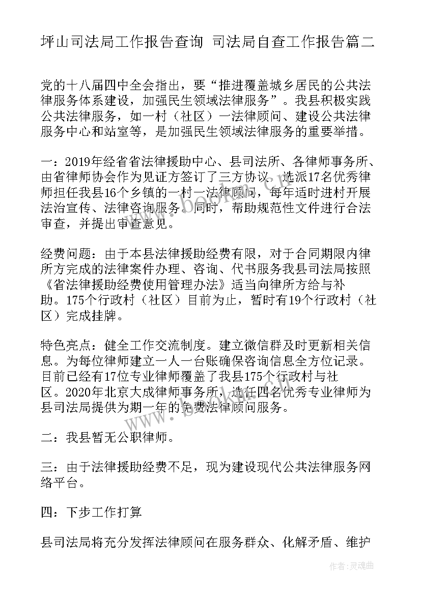 2023年坪山司法局工作报告查询 司法局自查工作报告(精选5篇)