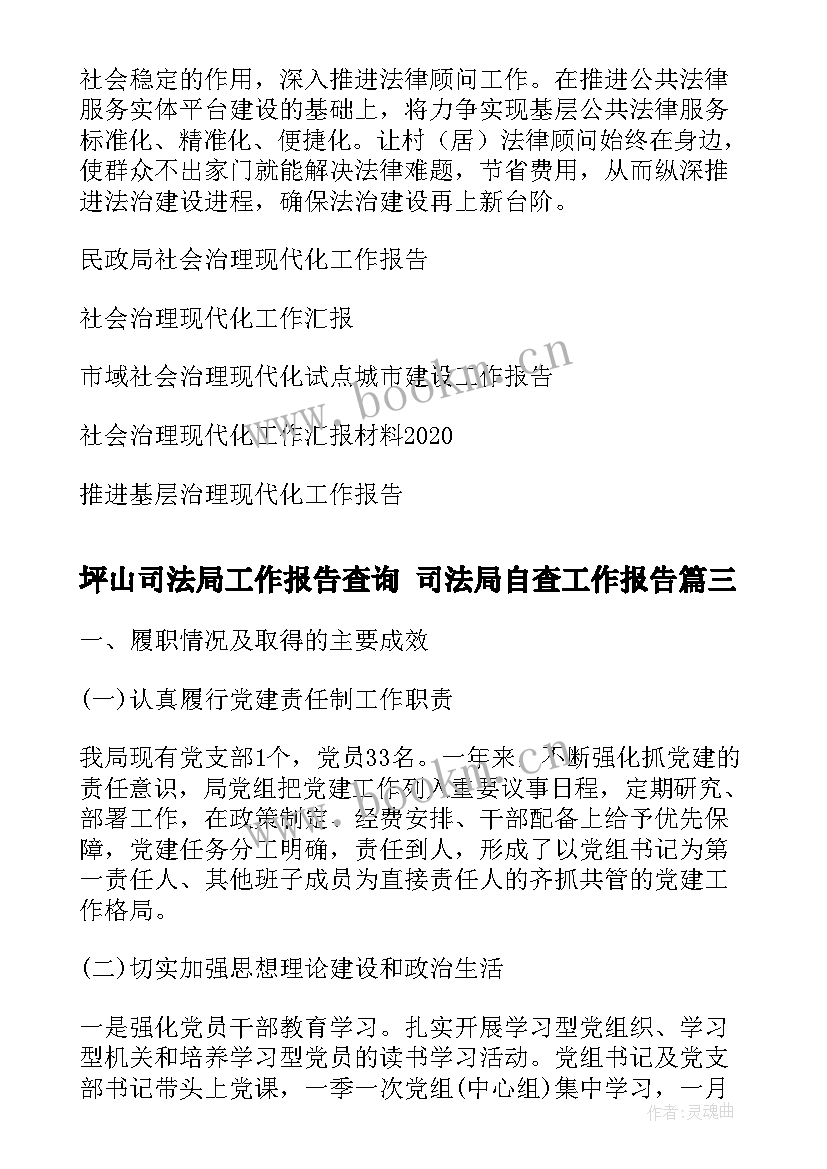 2023年坪山司法局工作报告查询 司法局自查工作报告(精选5篇)