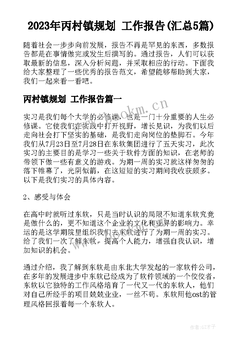 2023年丙村镇规划 工作报告(汇总5篇)