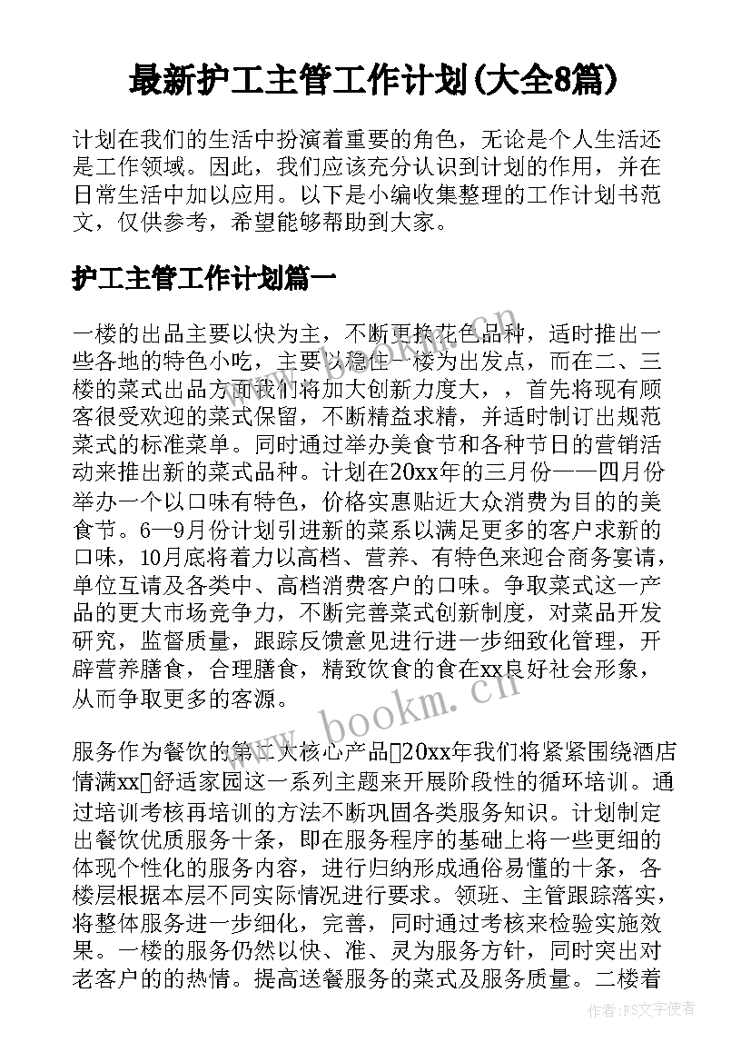 最新护工主管工作计划(大全8篇)