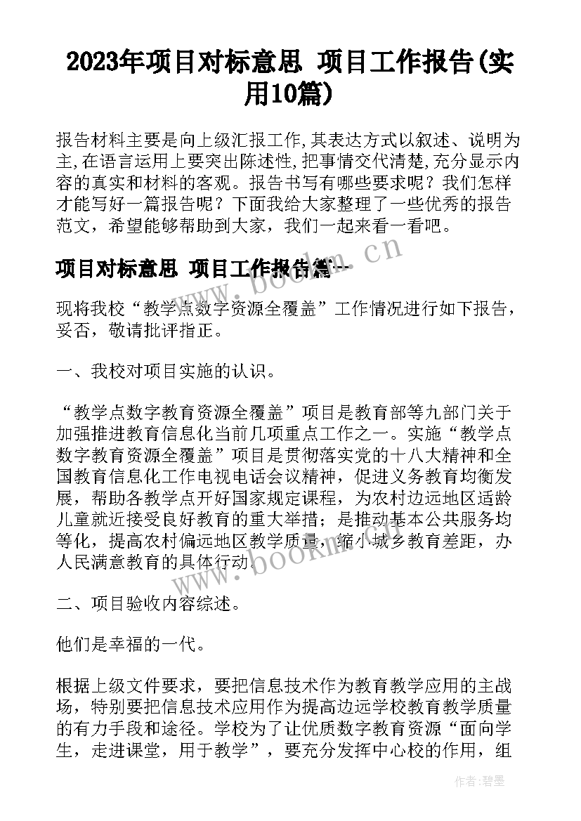 2023年项目对标意思 项目工作报告(实用10篇)