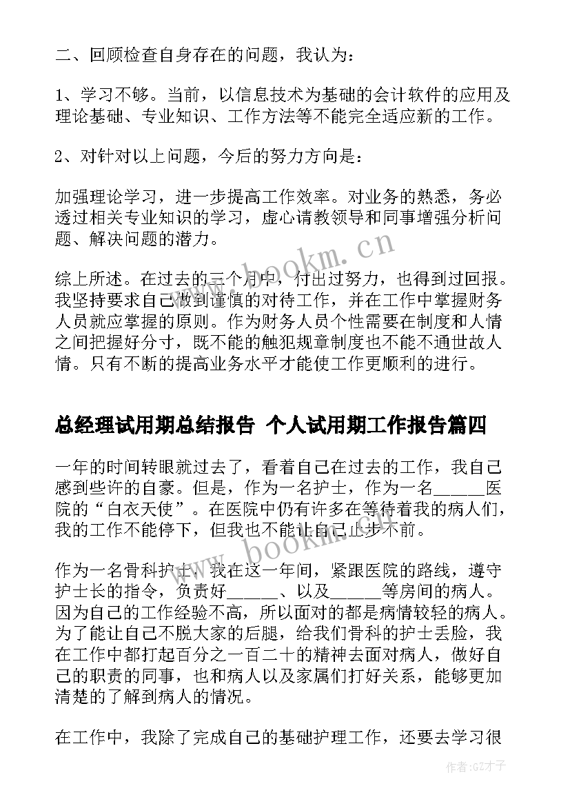 最新总经理试用期总结报告 个人试用期工作报告(汇总10篇)