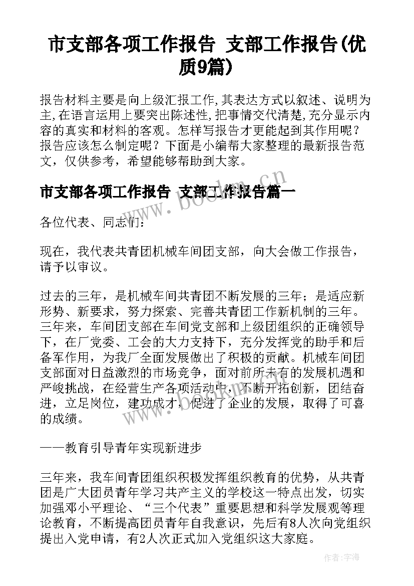 市支部各项工作报告 支部工作报告(优质9篇)