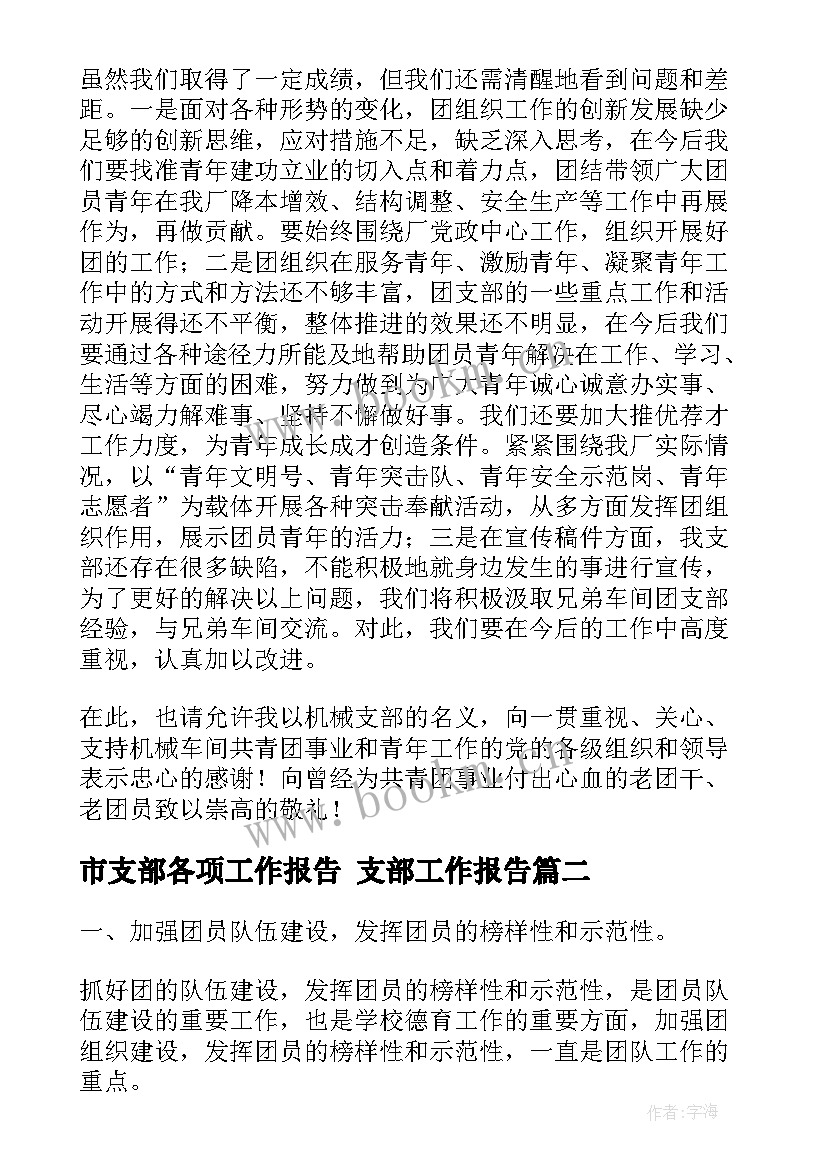 市支部各项工作报告 支部工作报告(优质9篇)