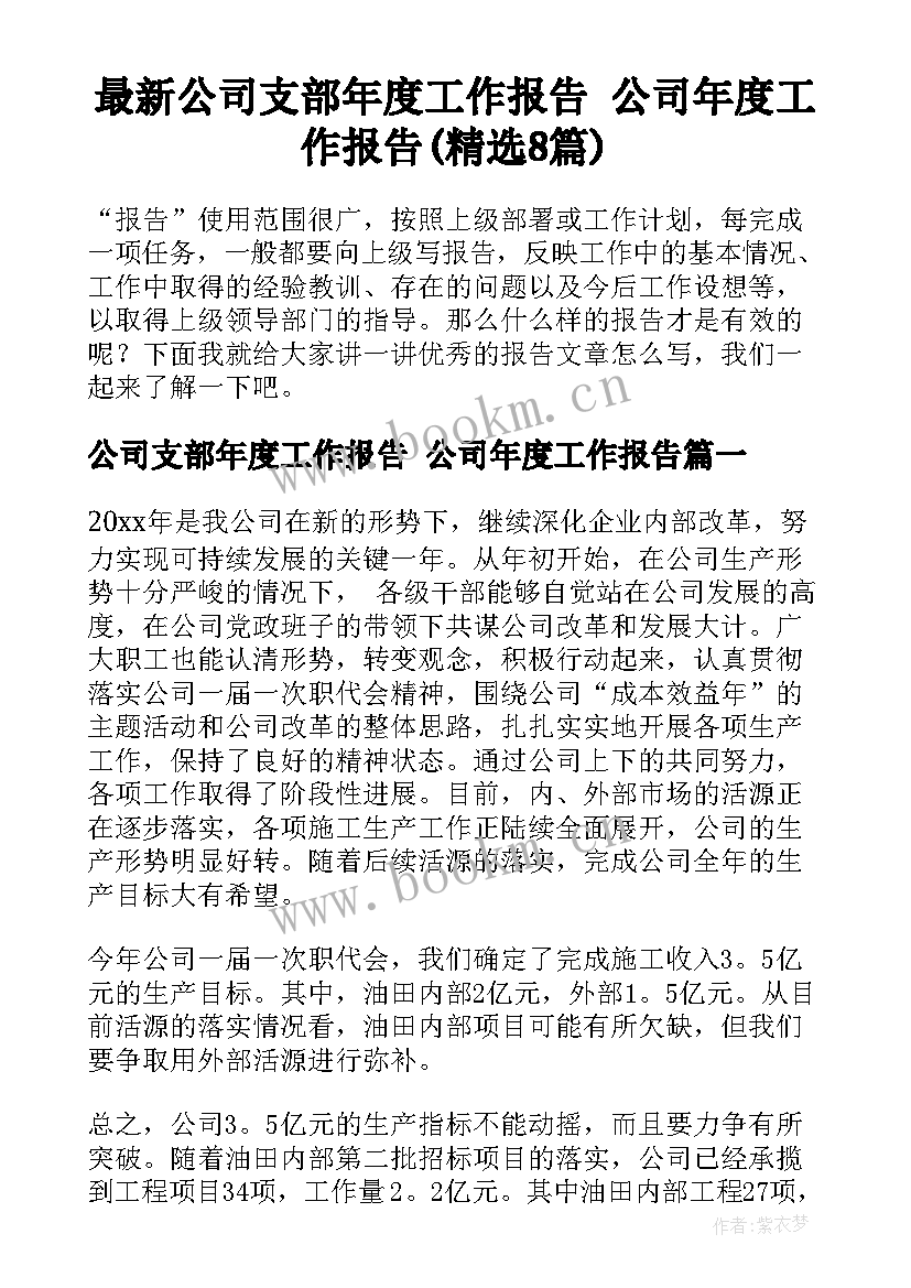 最新公司支部年度工作报告 公司年度工作报告(精选8篇)