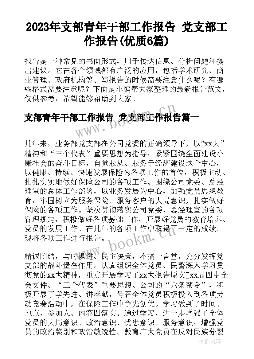 2023年支部青年干部工作报告 党支部工作报告(优质6篇)