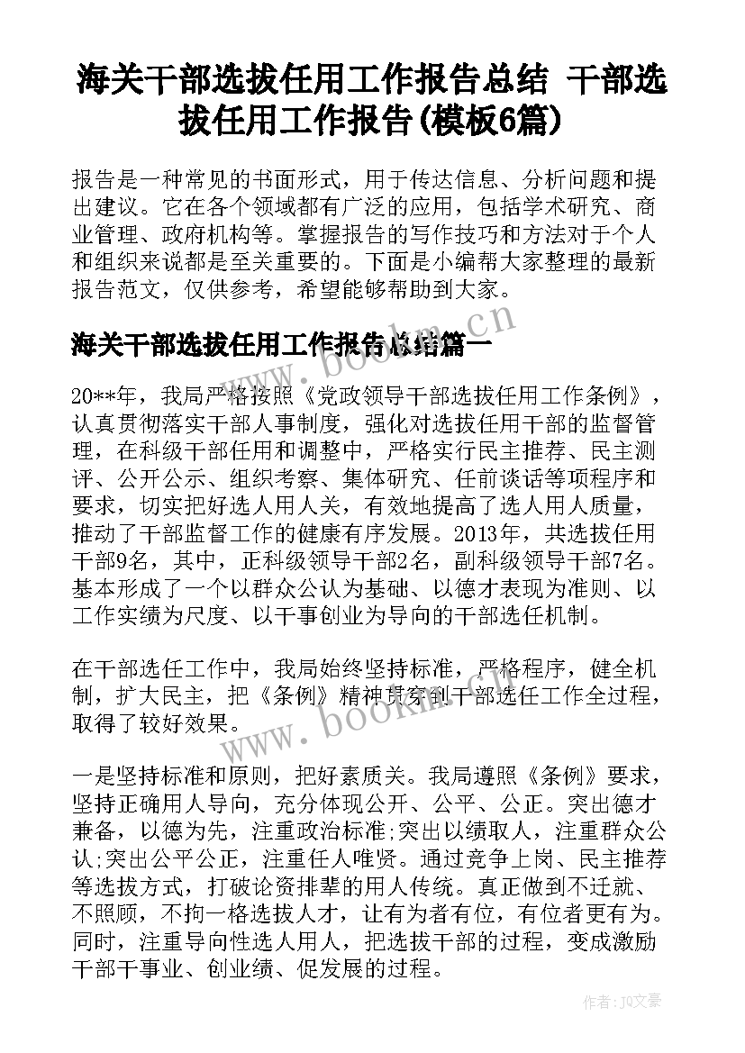 海关干部选拔任用工作报告总结 干部选拔任用工作报告(模板6篇)