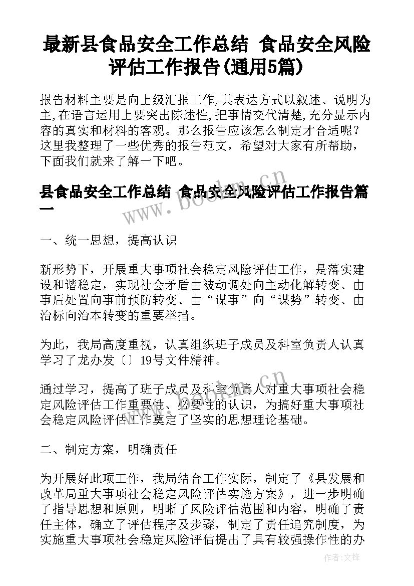 最新县食品安全工作总结 食品安全风险评估工作报告(通用5篇)