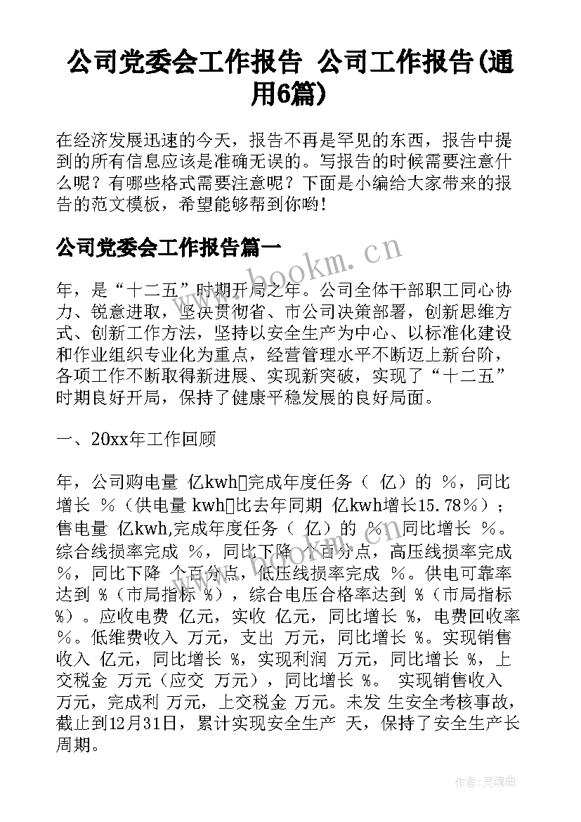 公司党委会工作报告 公司工作报告(通用6篇)