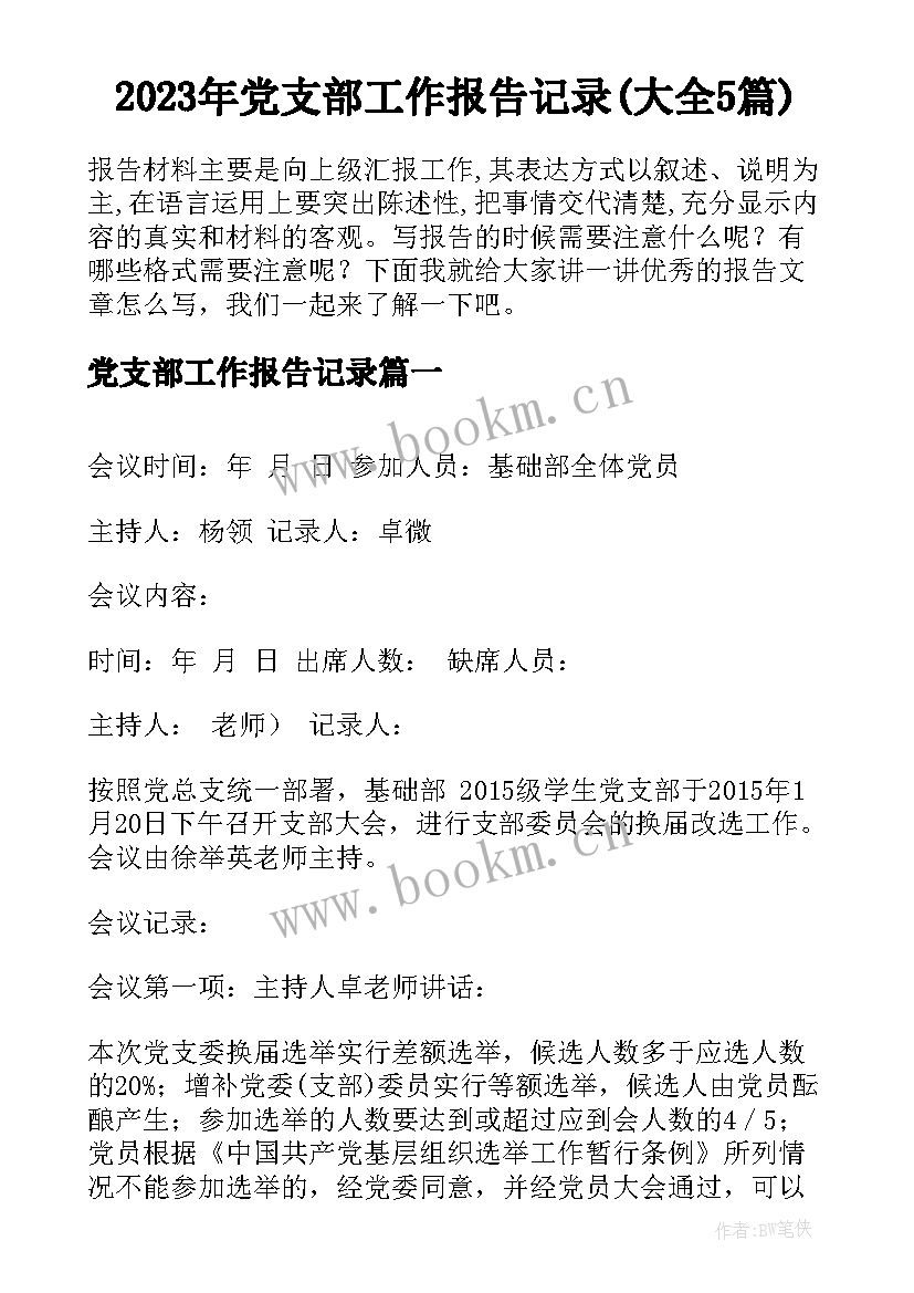 2023年党支部工作报告记录(大全5篇)