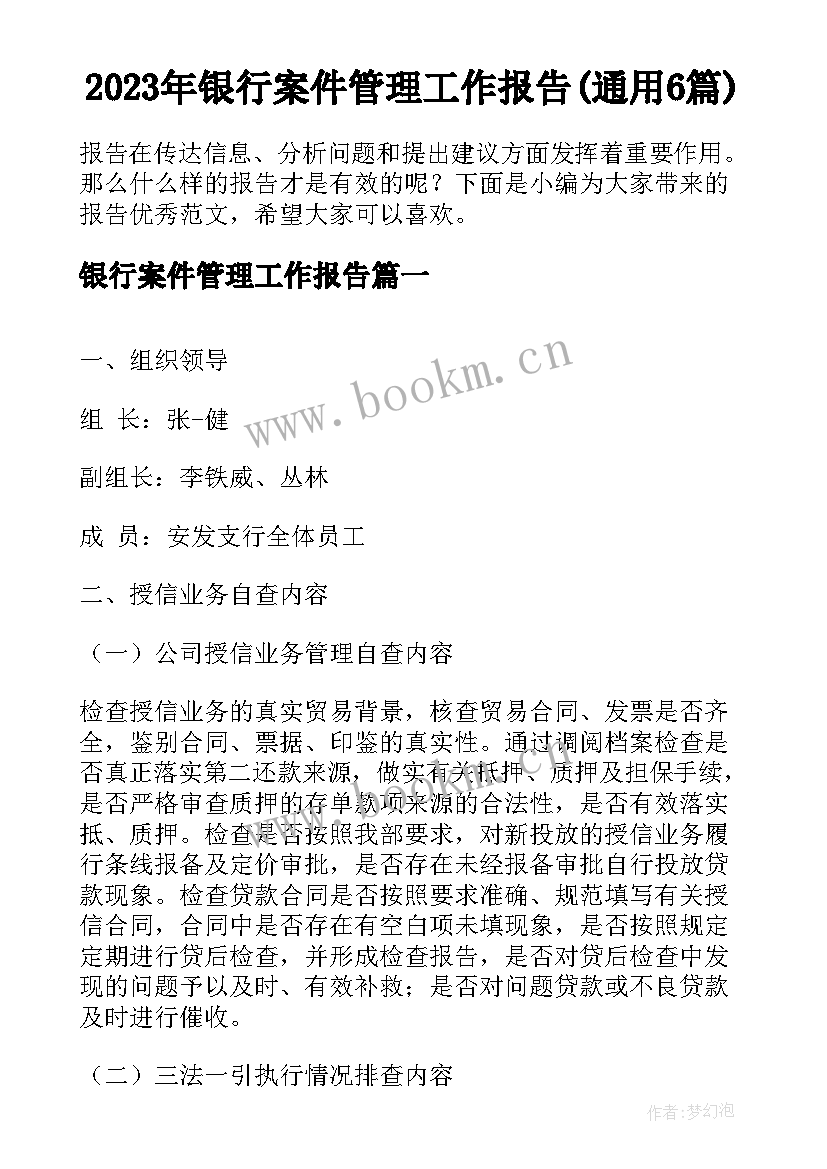 2023年银行案件管理工作报告(通用6篇)