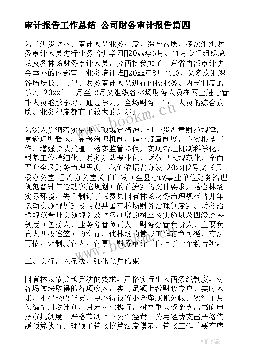 审计报告工作总结 公司财务审计报告(大全10篇)