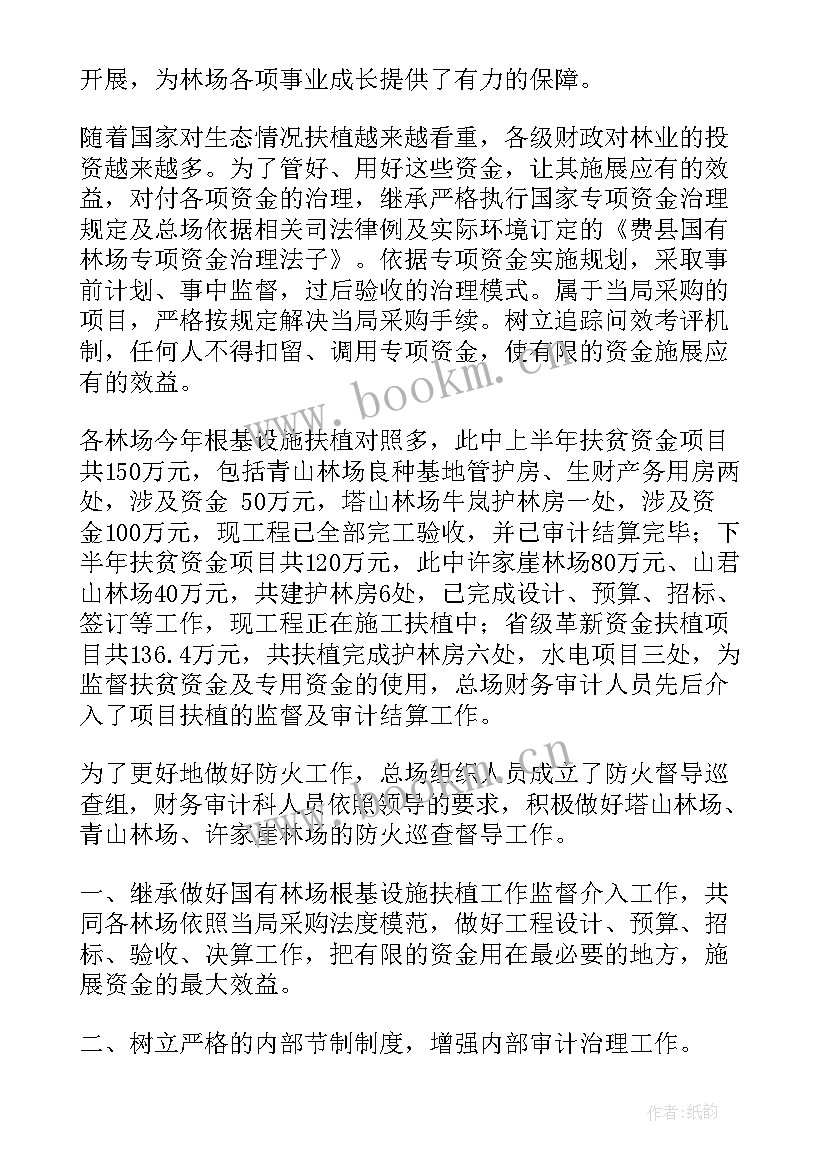 审计报告工作总结 公司财务审计报告(大全10篇)