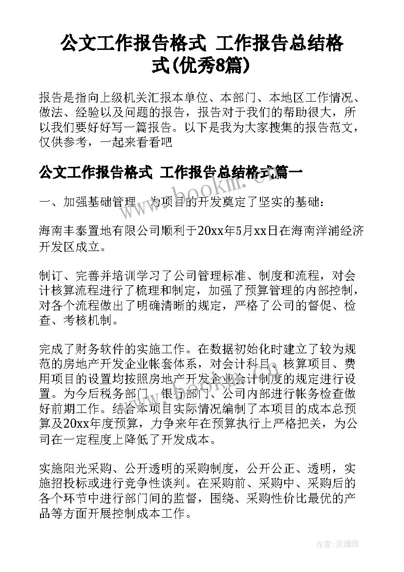 公文工作报告格式 工作报告总结格式(优秀8篇)