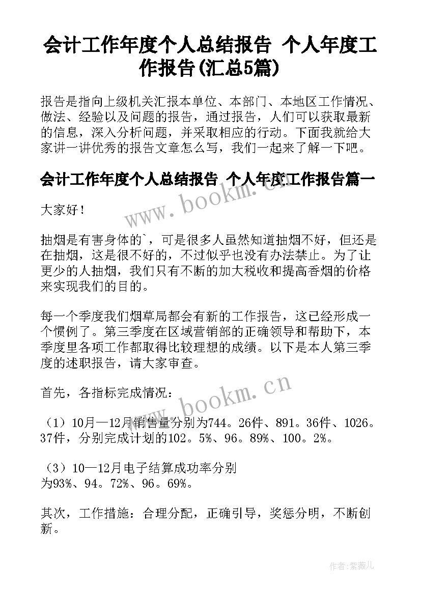 会计工作年度个人总结报告 个人年度工作报告(汇总5篇)