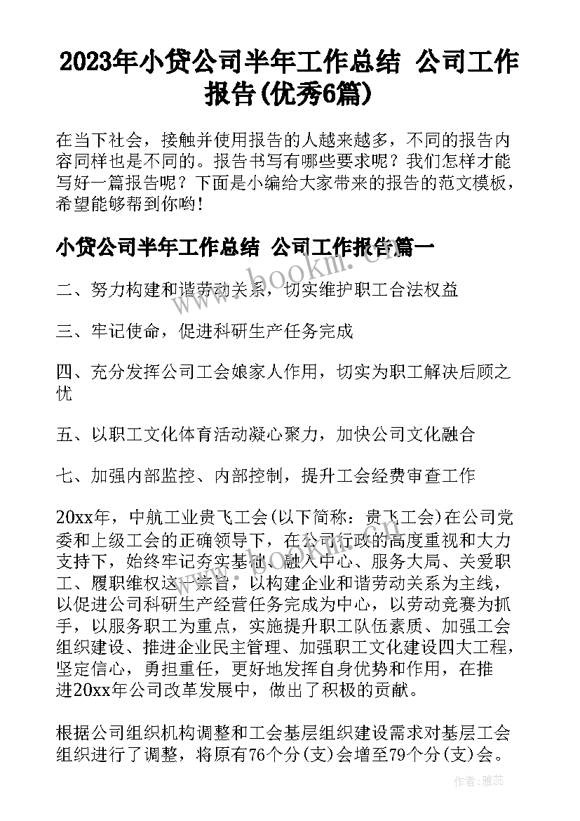 2023年小贷公司半年工作总结 公司工作报告(优秀6篇)