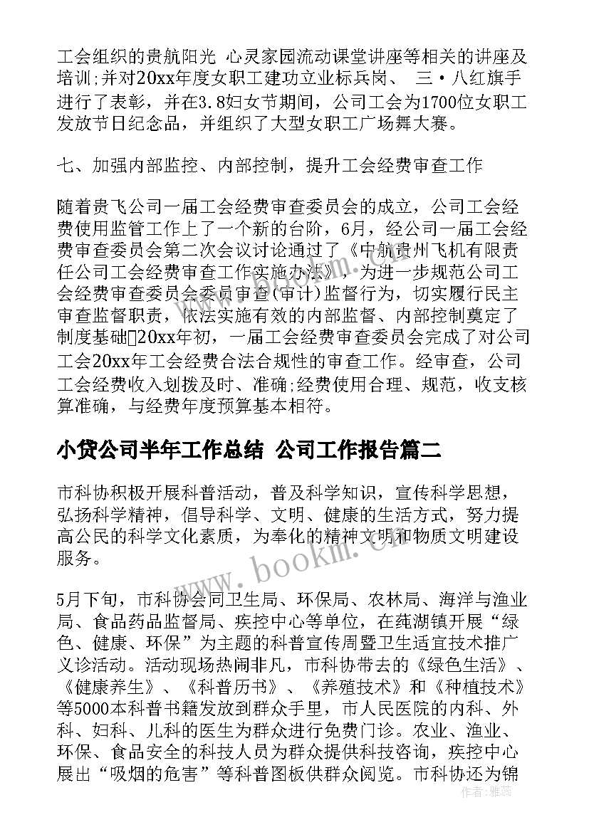 2023年小贷公司半年工作总结 公司工作报告(优秀6篇)