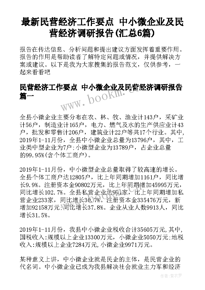 最新民营经济工作要点 中小微企业及民营经济调研报告(汇总6篇)