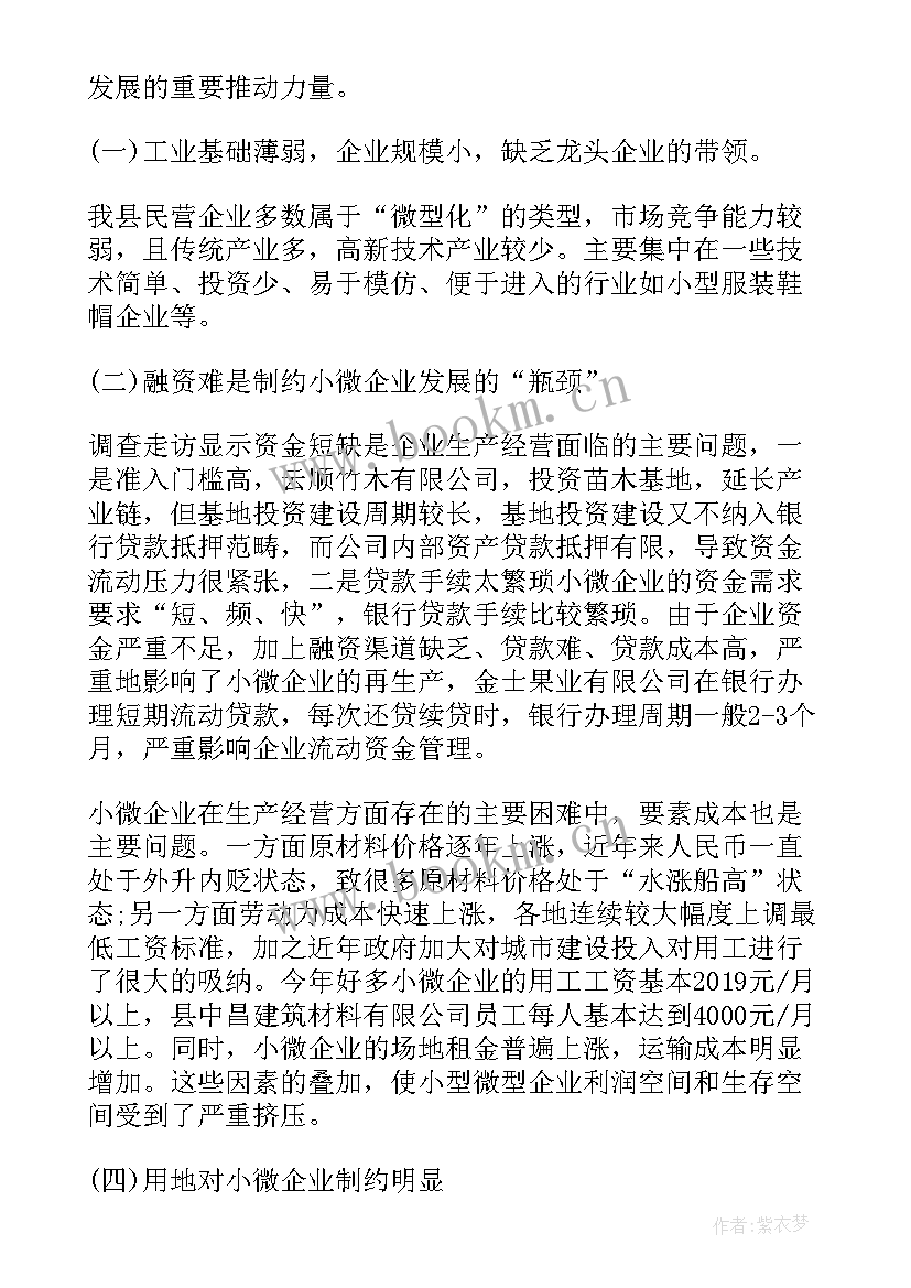 最新民营经济工作要点 中小微企业及民营经济调研报告(汇总6篇)