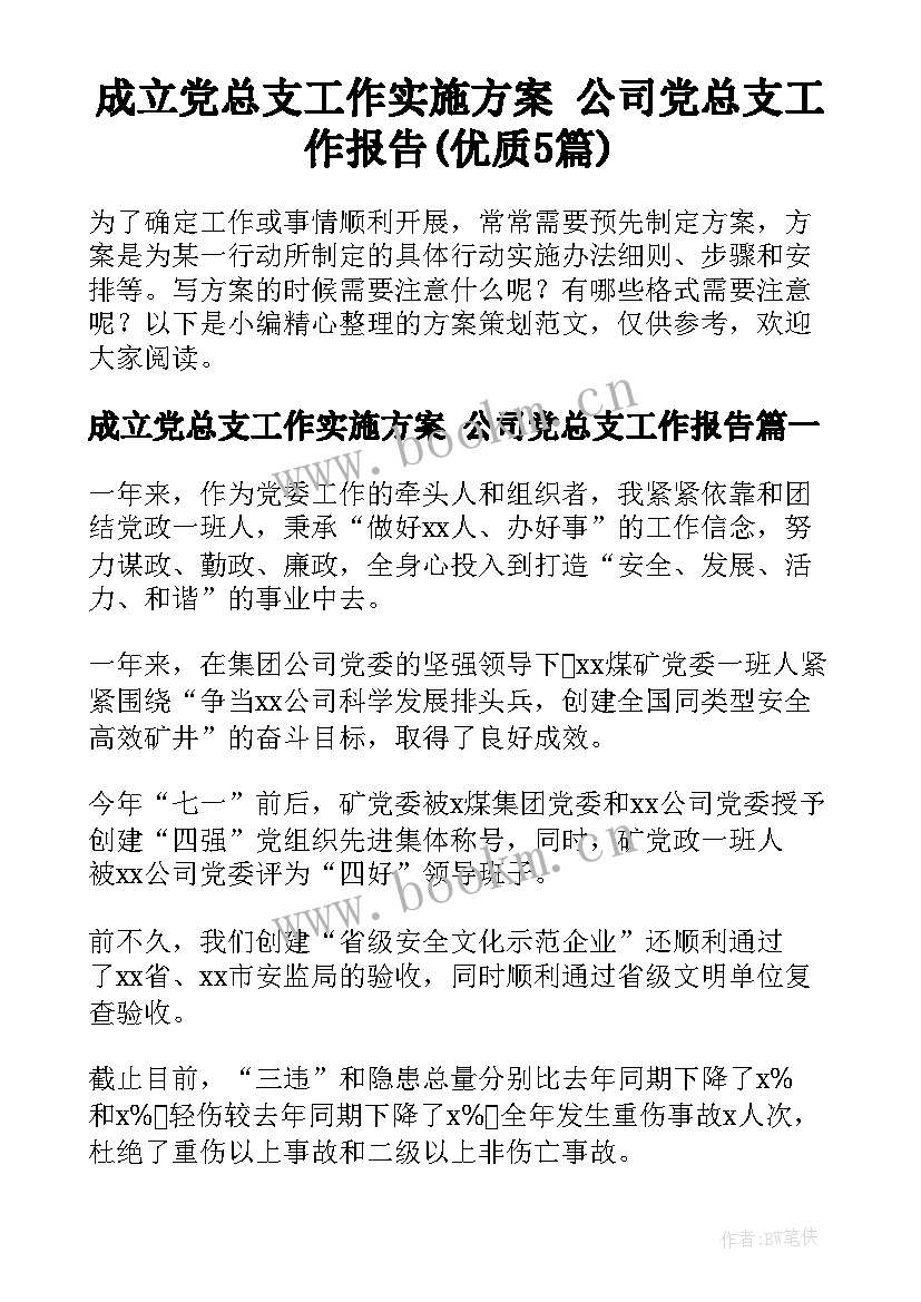 成立党总支工作实施方案 公司党总支工作报告(优质5篇)