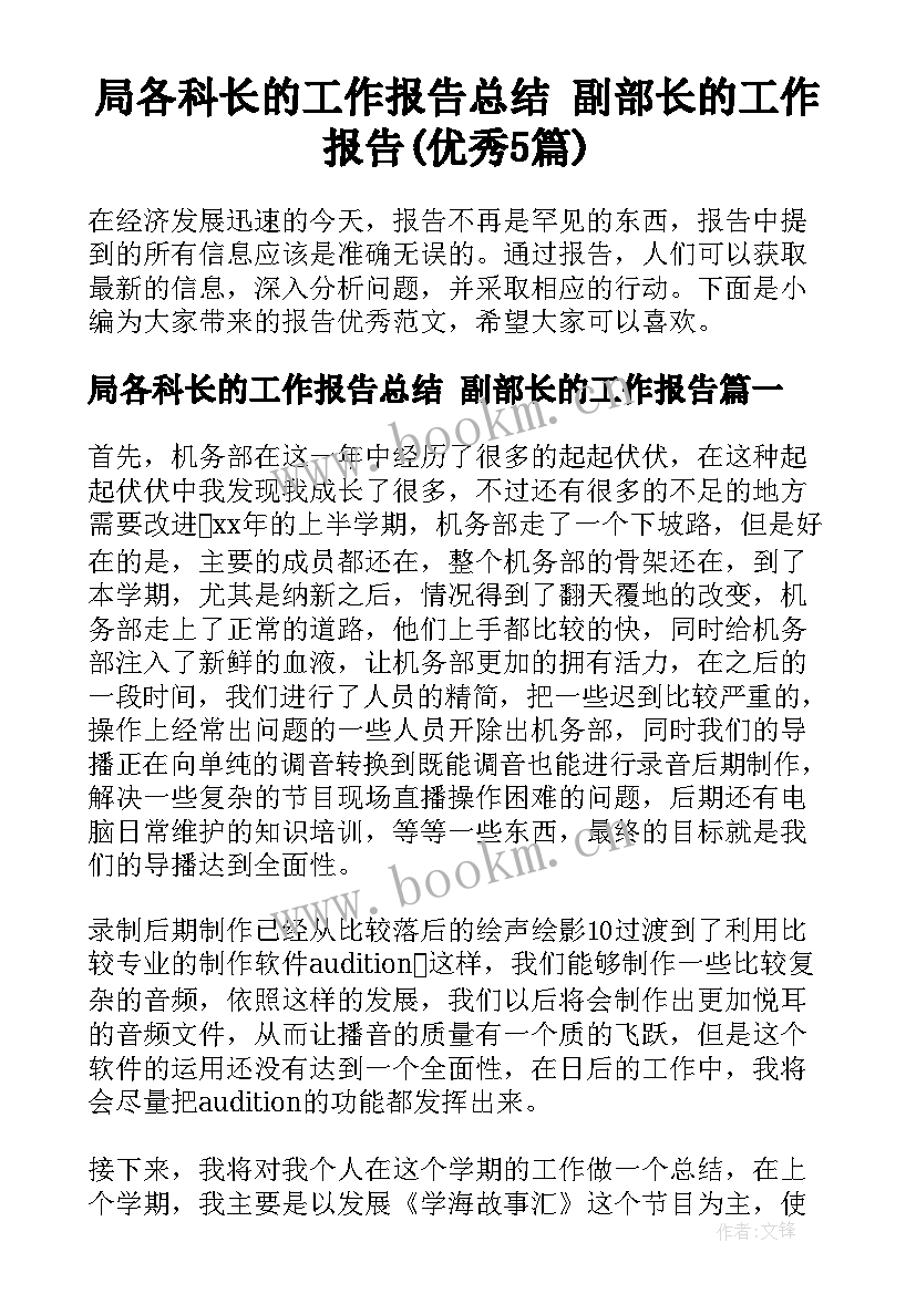 局各科长的工作报告总结 副部长的工作报告(优秀5篇)