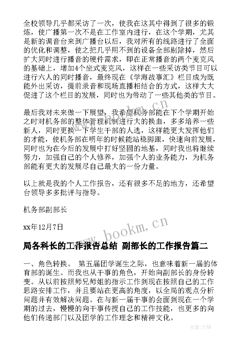 局各科长的工作报告总结 副部长的工作报告(优秀5篇)