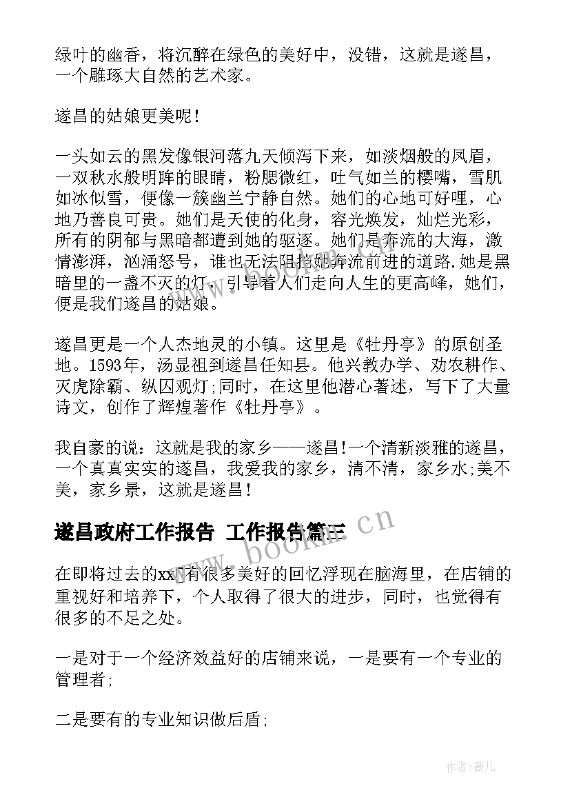2023年遂昌政府工作报告 工作报告(优秀10篇)