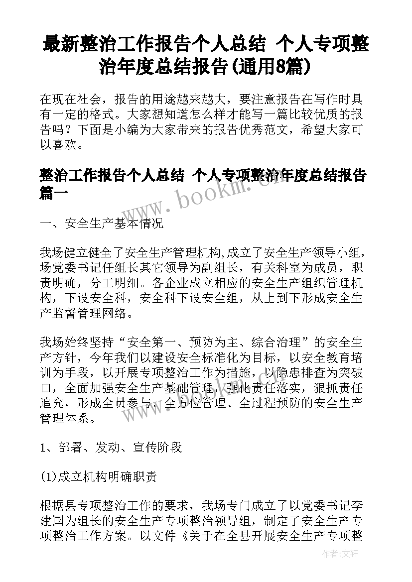 最新整治工作报告个人总结 个人专项整治年度总结报告(通用8篇)