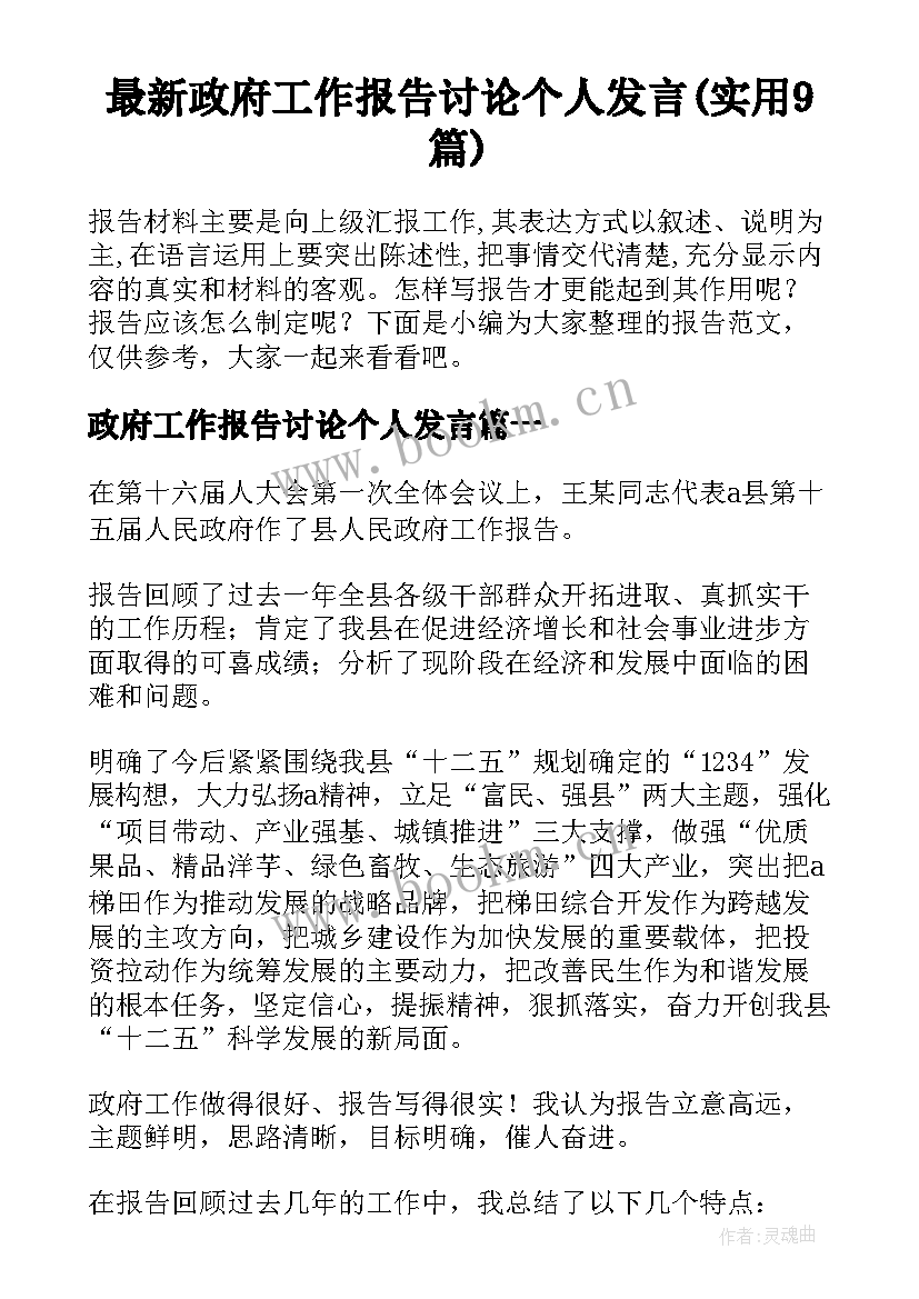 最新政府工作报告讨论个人发言(实用9篇)