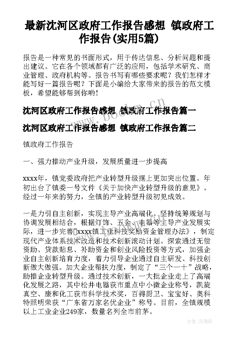 最新沈河区政府工作报告感想 镇政府工作报告(实用5篇)