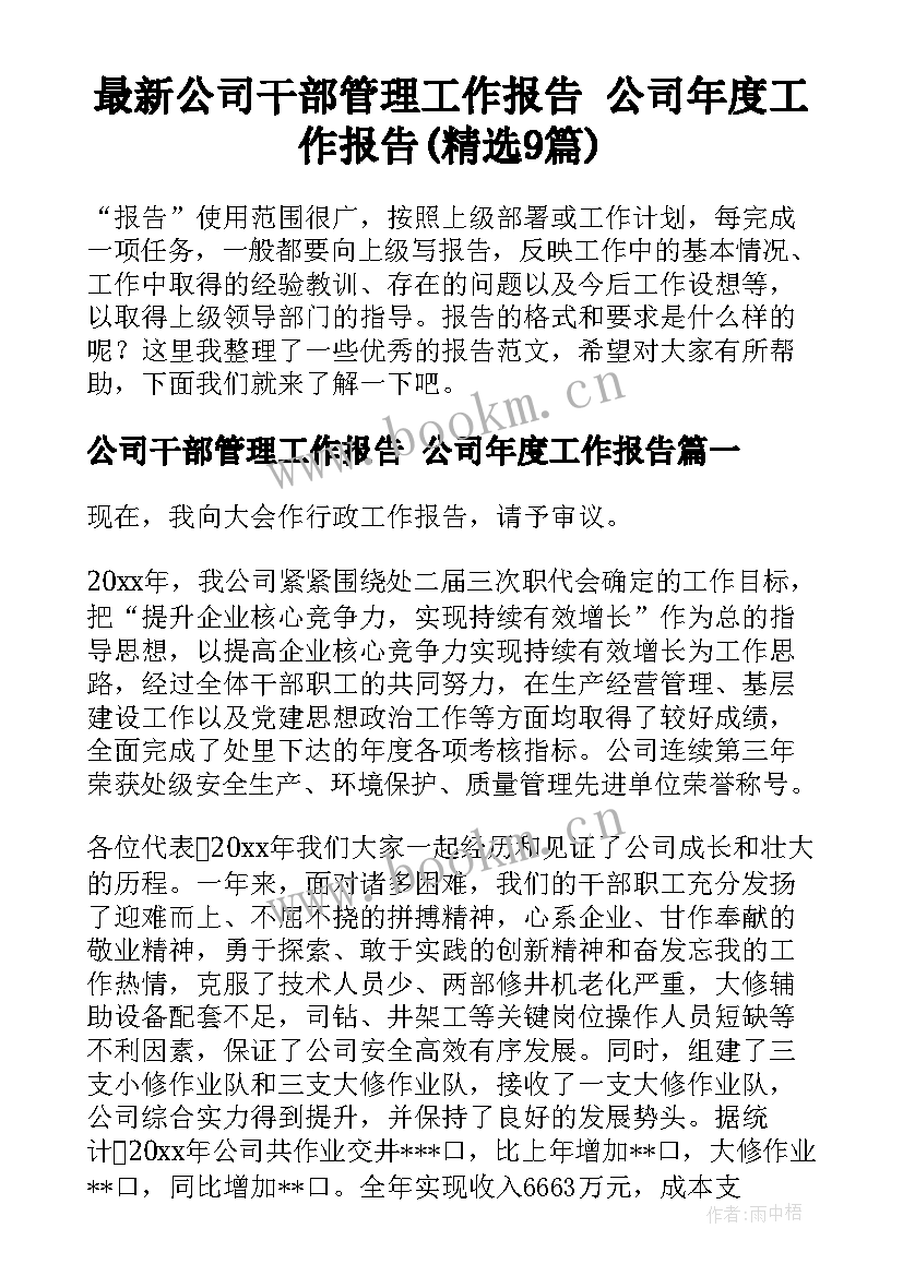 最新公司干部管理工作报告 公司年度工作报告(精选9篇)