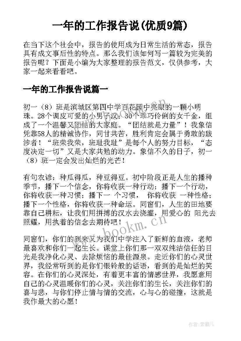 一年的工作报告说(优质9篇)