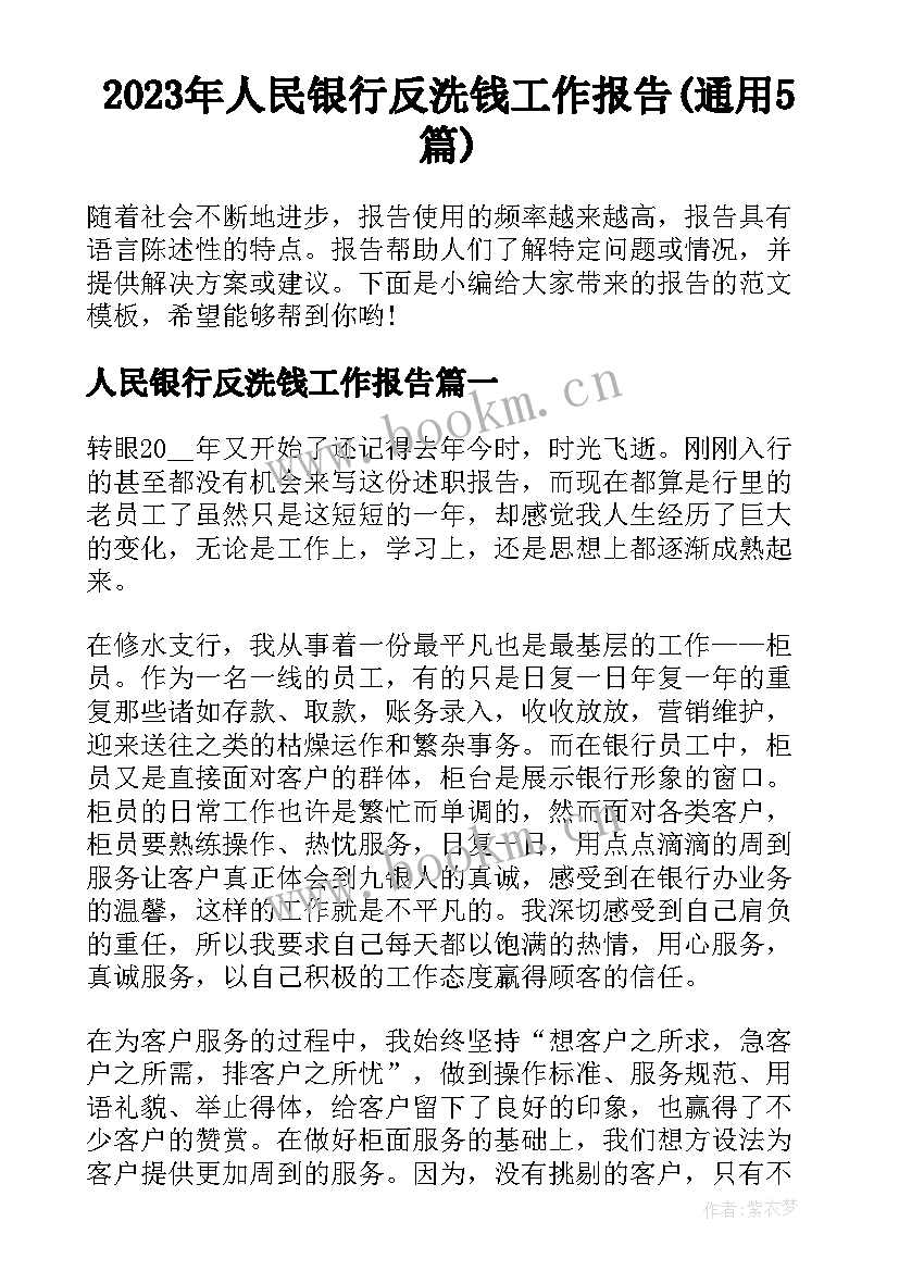 2023年人民银行反洗钱工作报告(通用5篇)