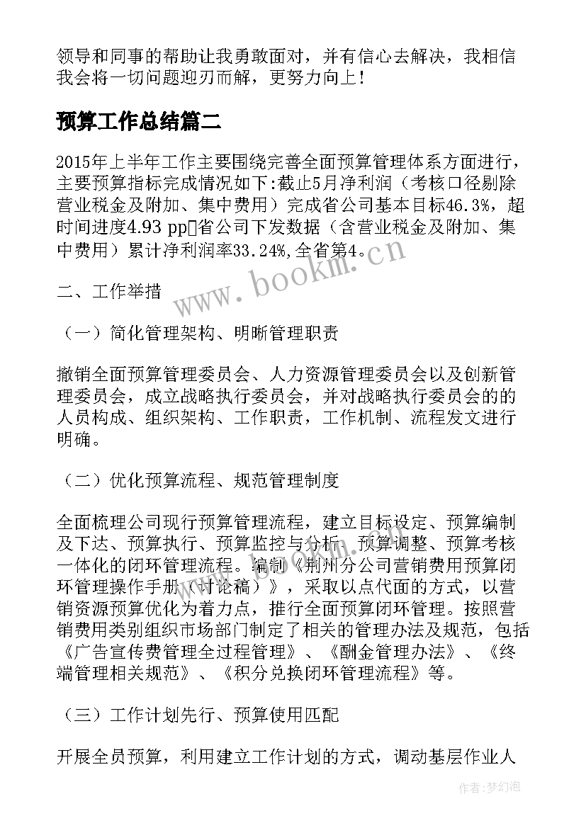 最新预算工作总结 预算员工作总结(模板9篇)