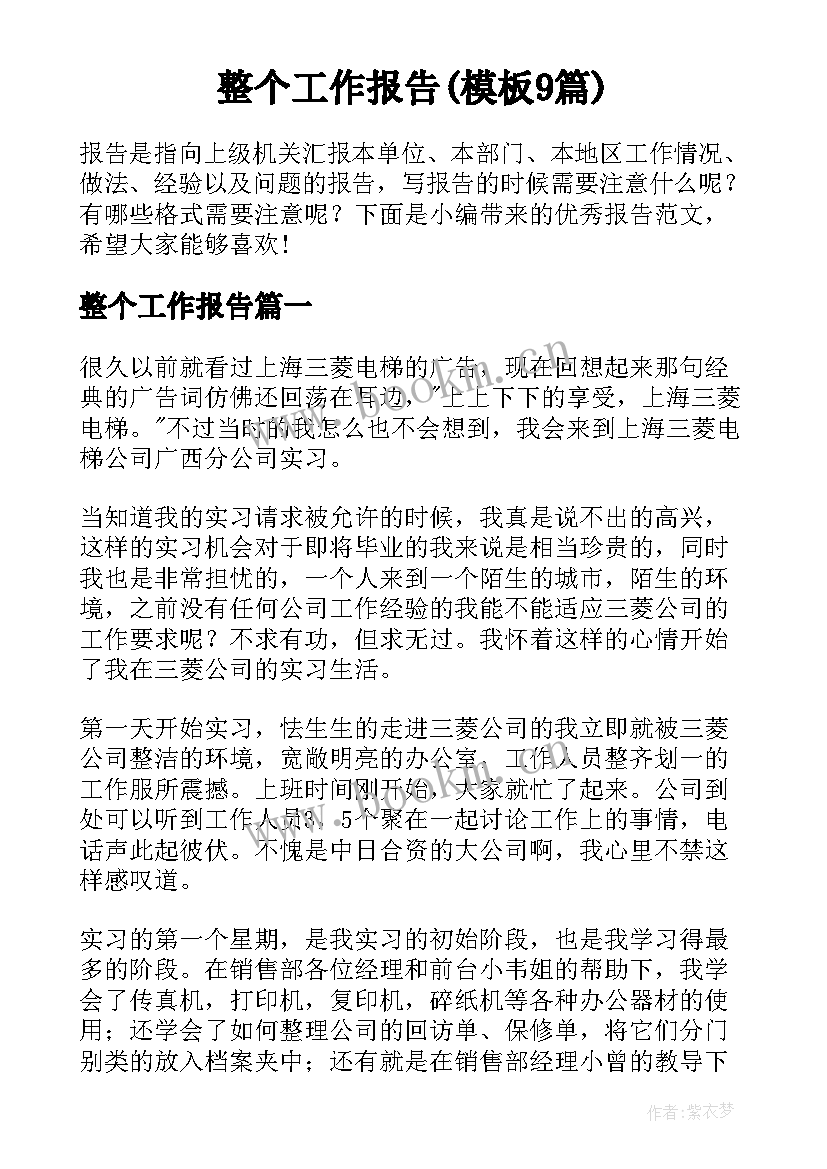 整个工作报告(模板9篇)