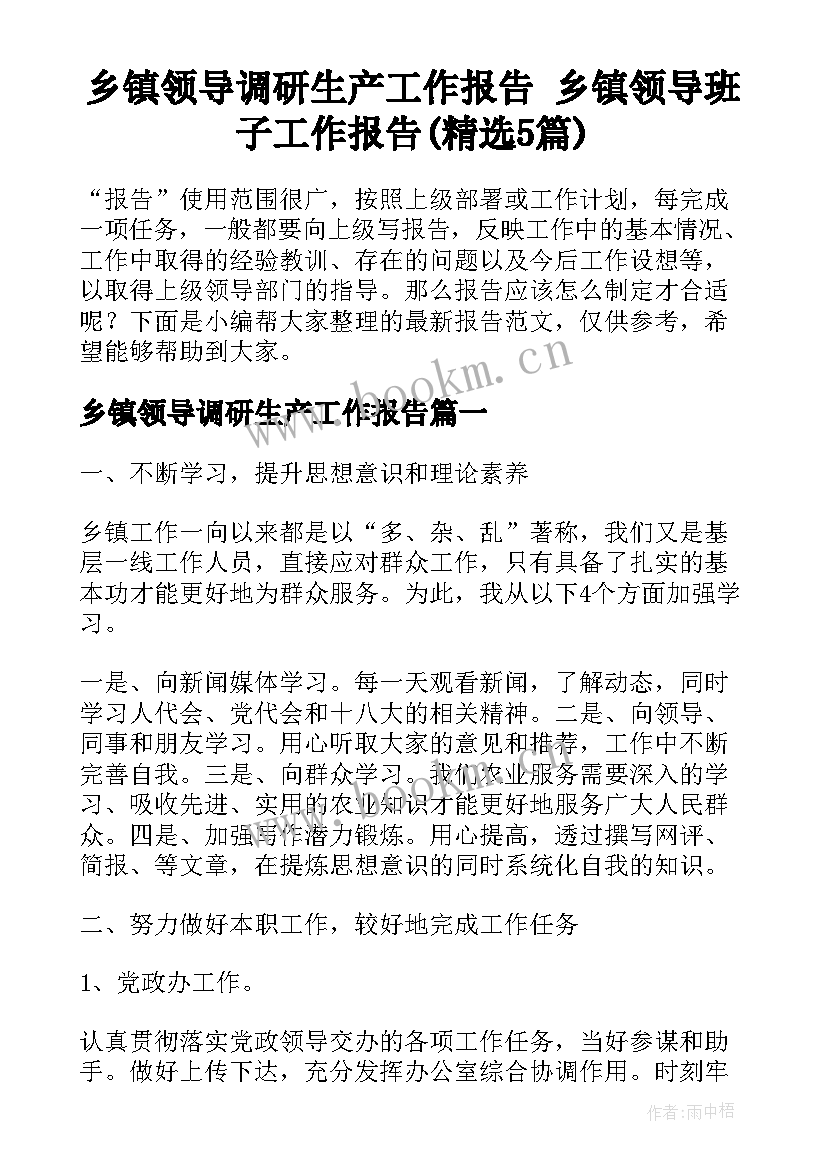 乡镇领导调研生产工作报告 乡镇领导班子工作报告(精选5篇)