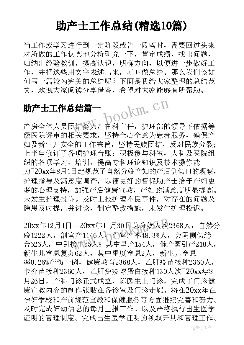 助产士工作总结(精选10篇)