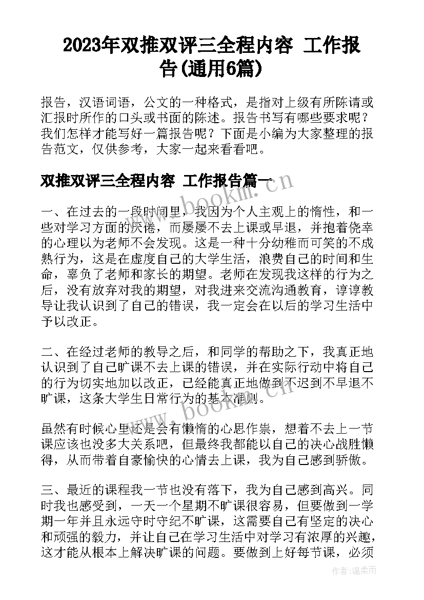 2023年双推双评三全程内容 工作报告(通用6篇)