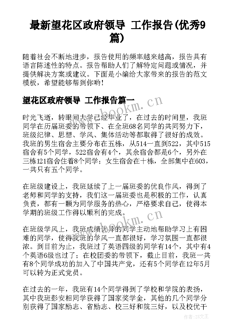 最新望花区政府领导 工作报告(优秀9篇)