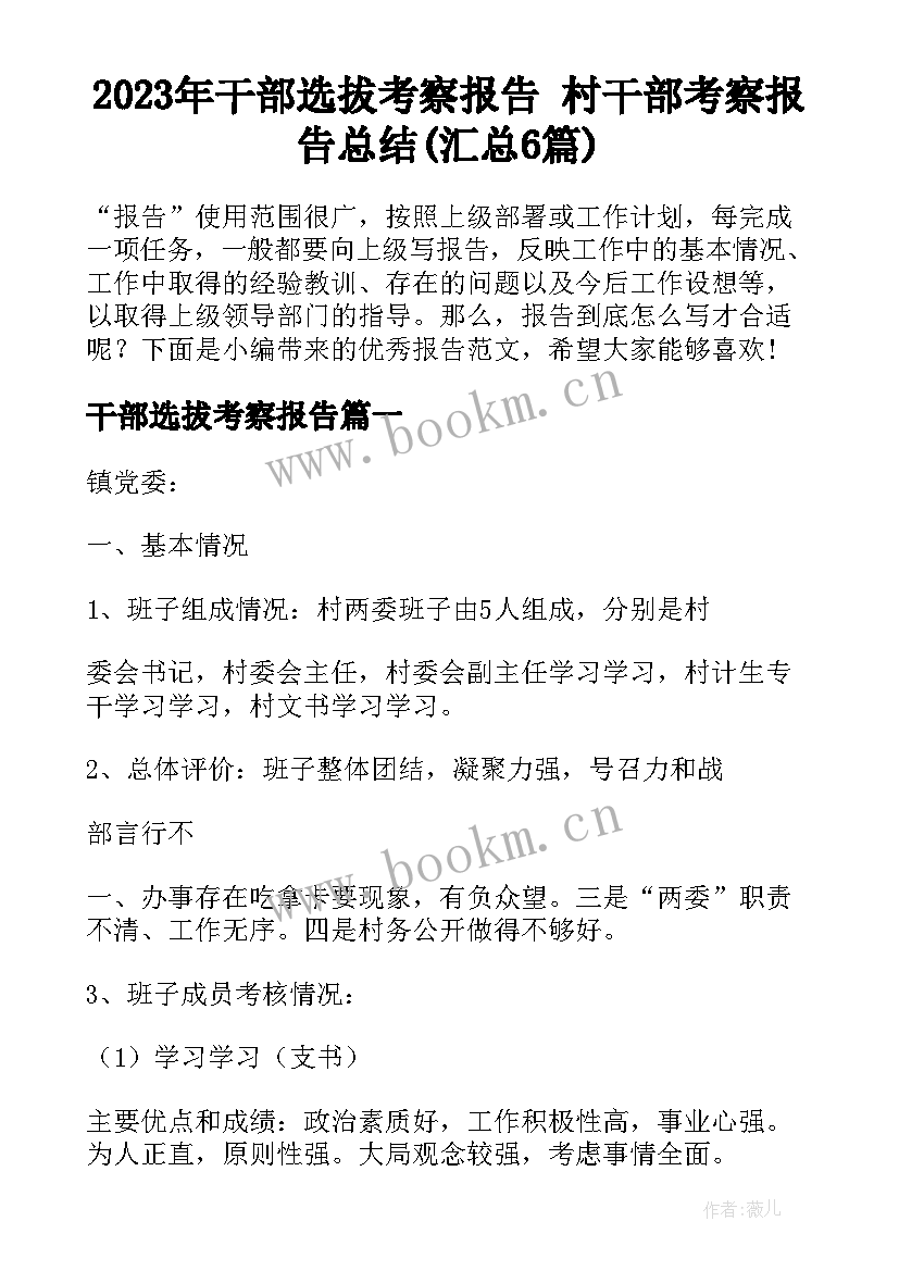 2023年干部选拔考察报告 村干部考察报告总结(汇总6篇)