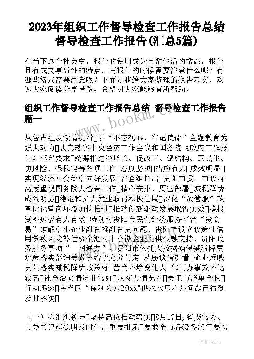 2023年组织工作督导检查工作报告总结 督导检查工作报告(汇总5篇)