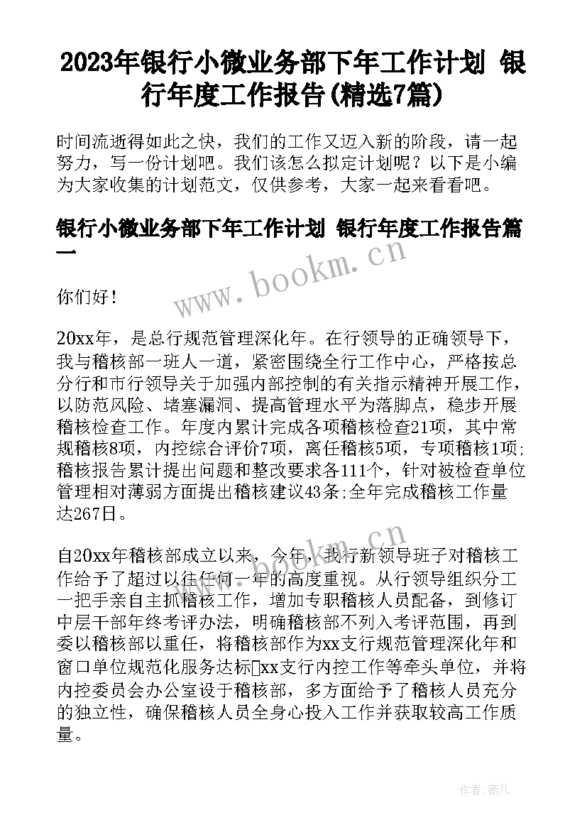 2023年银行小微业务部下年工作计划 银行年度工作报告(精选7篇)